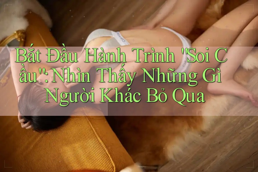 Bắt Đầu Hành Trình “Soi Cầu”: Nhìn Thấy Những Gì Người Khác Bỏ Qua