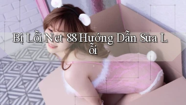 bị lỗi net 88 hướng dẫn sửa lỗi