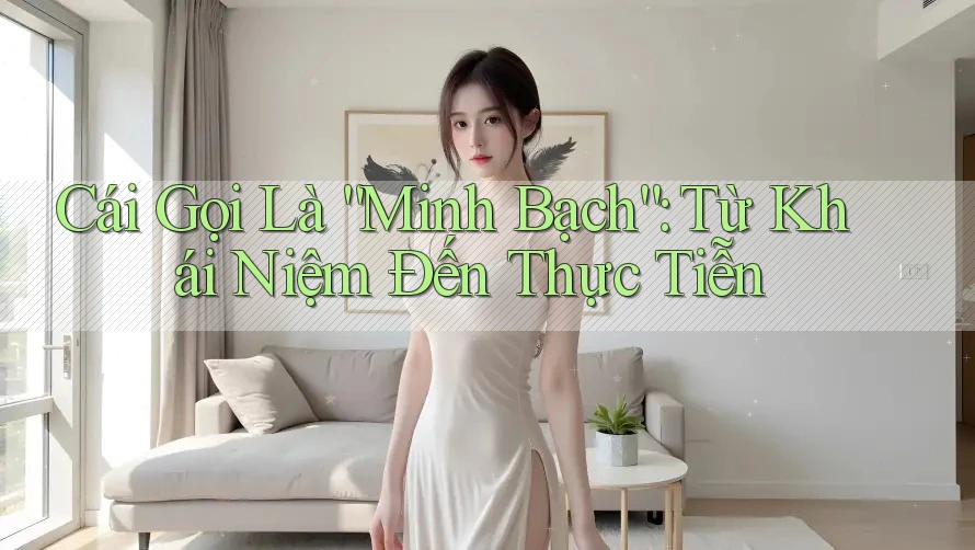 Cái Gọi Là “Minh Bạch”: Từ Khái Niệm Đến Thực Tiễn