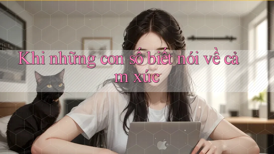 Khi những con số biết nói về cảm xúc Khi những con số biết nói về cảm xúc