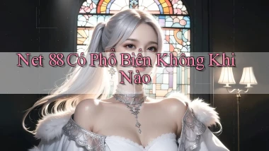 net 88 có phổ biến không khi nào