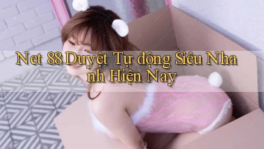 net 88 duyệt tự động siêu nhanh hiện nay
