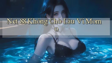 net 88 không chờ lâu ví momo
