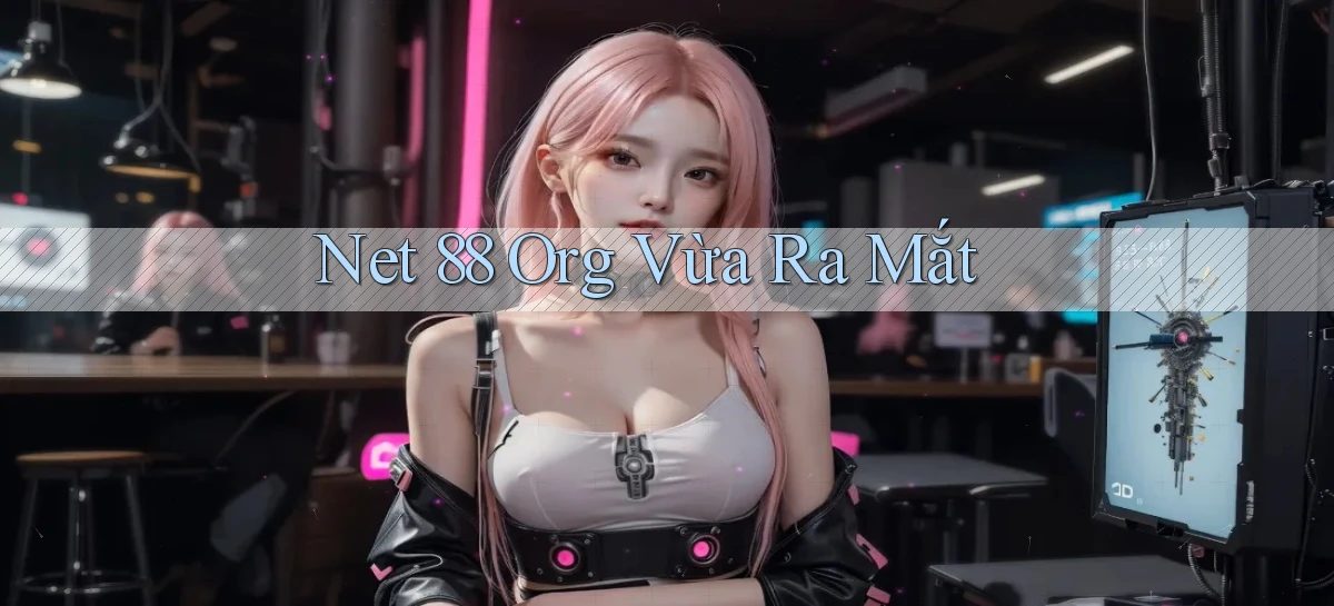 net 88 org vừa ra mắt