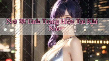net 88 tình trạng hiện tại khi nào
