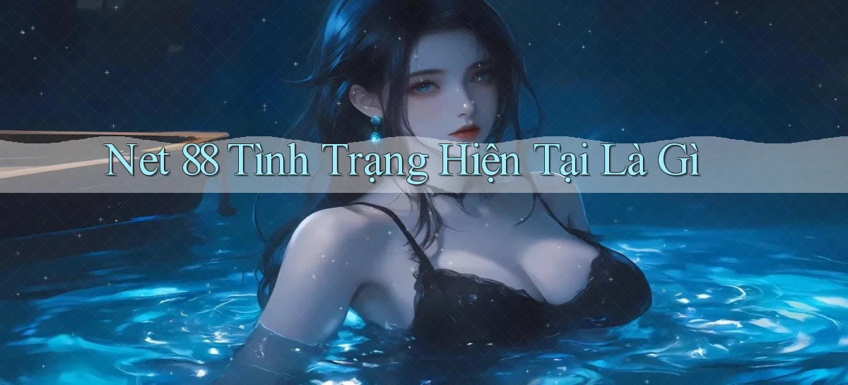 net 88 tình trạng hiện tại là gì