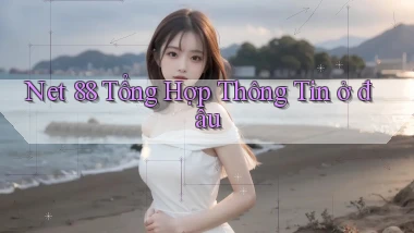 net 88 tổng hợp thông tin ở đâu