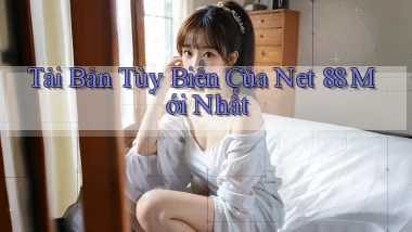 tải bản tùy biến của net 88 mới nhất