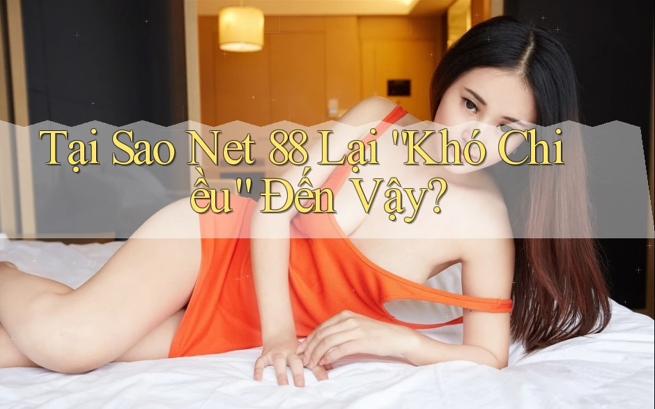 Tại Sao Net 88 Lại “Khó Chiều” Đến Vậy? Tại Sao Net 88 Lại “Khó Chiều” Đến Vậy?